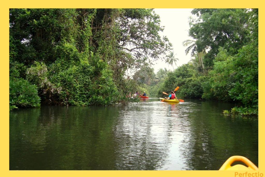 nerul river in monsoon season goa