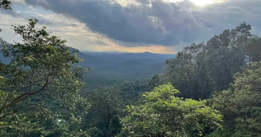 Mollem National Park